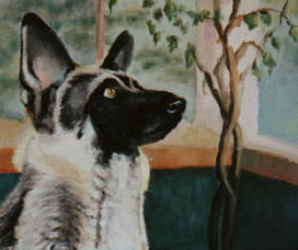 Hogan, Oil portrait of German Shephard, 20x24
